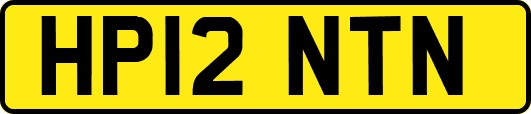 HP12NTN