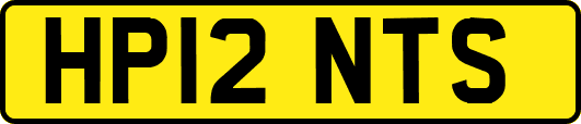 HP12NTS