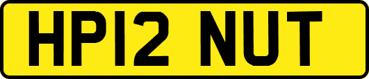 HP12NUT