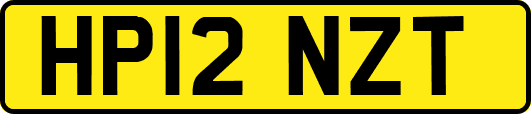 HP12NZT