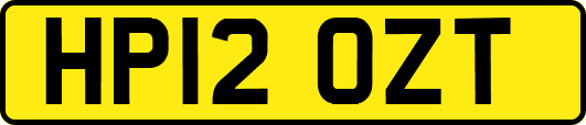 HP12OZT