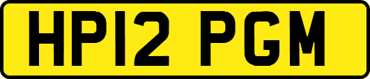 HP12PGM