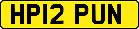 HP12PUN