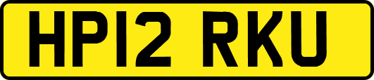 HP12RKU