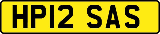 HP12SAS