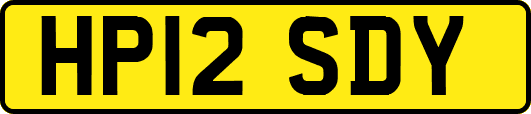 HP12SDY