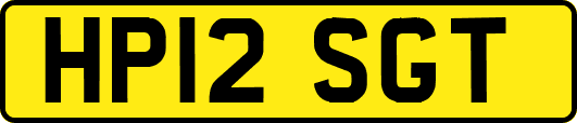 HP12SGT