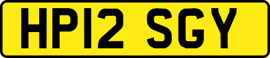 HP12SGY