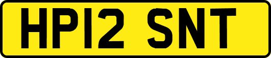 HP12SNT