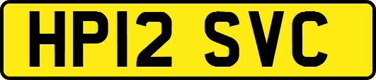 HP12SVC
