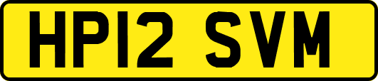 HP12SVM