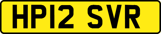 HP12SVR