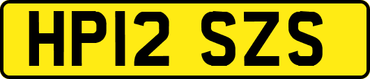 HP12SZS