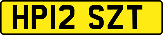 HP12SZT