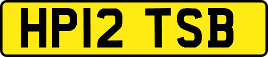 HP12TSB