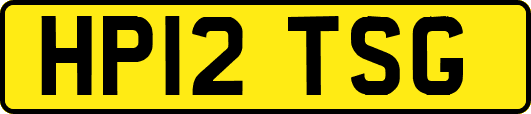 HP12TSG