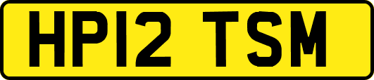 HP12TSM