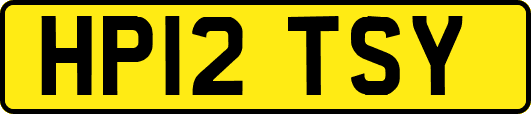 HP12TSY