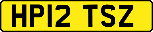 HP12TSZ