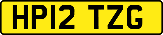 HP12TZG