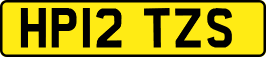 HP12TZS