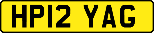 HP12YAG