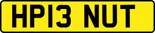 HP13NUT