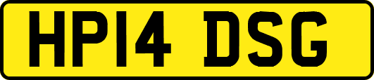 HP14DSG