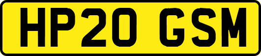 HP20GSM