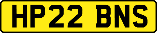 HP22BNS