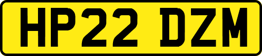 HP22DZM