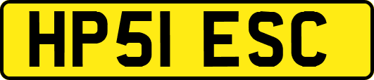 HP51ESC