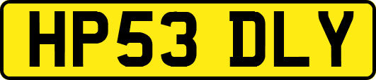HP53DLY
