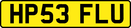 HP53FLU