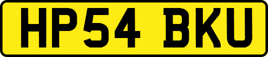 HP54BKU