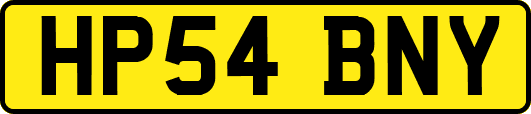 HP54BNY