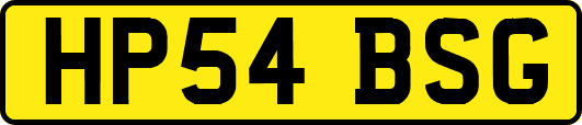 HP54BSG