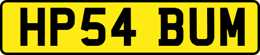 HP54BUM