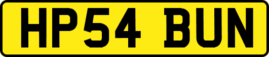 HP54BUN