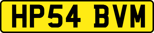 HP54BVM