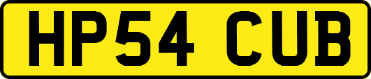 HP54CUB
