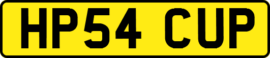 HP54CUP
