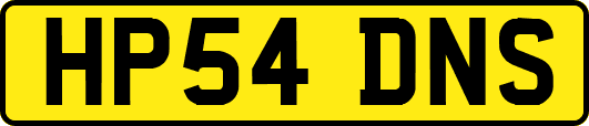HP54DNS