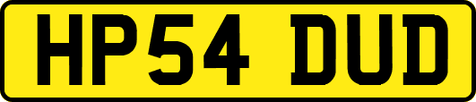 HP54DUD