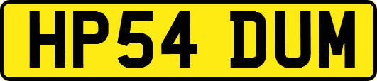 HP54DUM