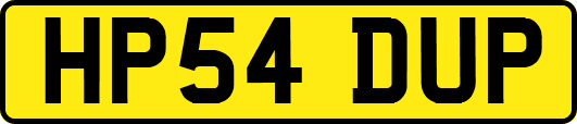 HP54DUP