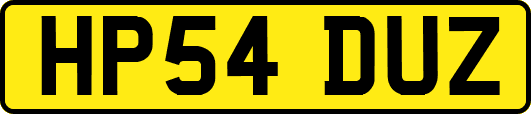 HP54DUZ