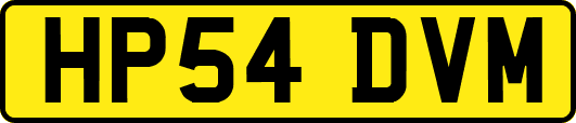 HP54DVM