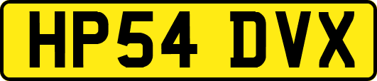 HP54DVX