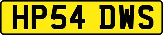 HP54DWS